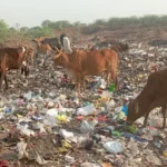 आधुनिकता मनुष्य की करुणा, मानवता और नैतिकता का हनन कर रही है