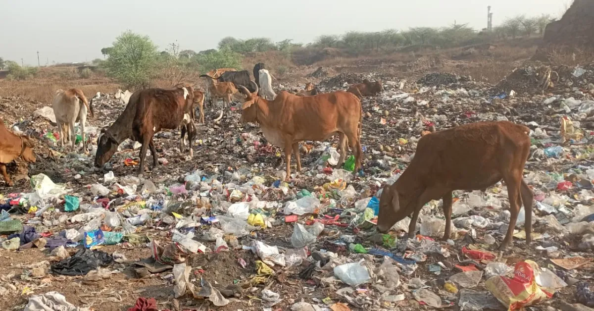 आधुनिकता मनुष्य की करुणा, मानवता और नैतिकता का हनन कर रही है